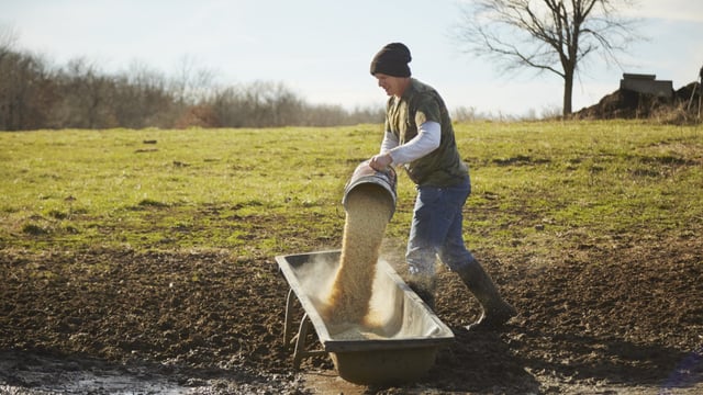 Reward farmers for 'maintaining lower nitrates rates along a sliding scale' - ICSA