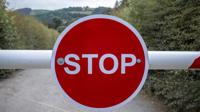 Bluetongue: Livestock moving from NI to south should be stopped - Independent Ireland