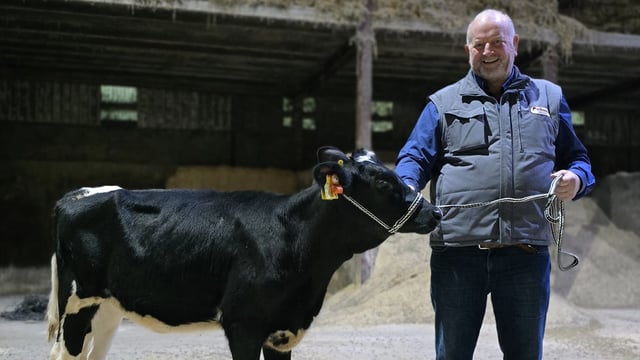 Redhouse Holsteins open day to raise funds for NI Air Ambulance Service