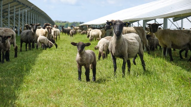 Unlock the power of your land