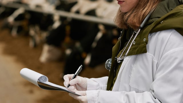 Heydon: 'Additional targeted and risk-based' bluetongue surveillance now in place