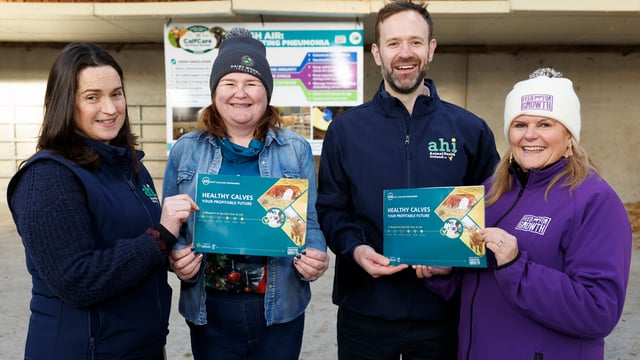 New 'blueprint' for dairy farmers to help rear calves