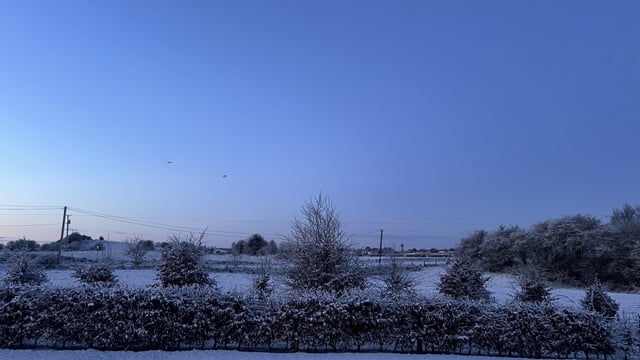 Frosty conditions impact livestock sales across Ireland