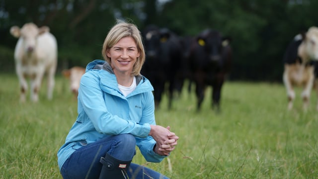 Irish MEP to lead CAP negotiations for EU's EPP group