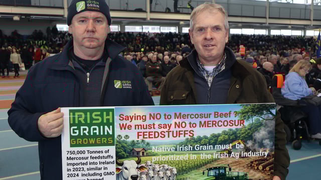 Feed mills urged to clarify Mercosur grain imports at Athlone event