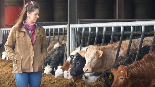 Watch: Groundbreakers - Diversification drives farm resilience