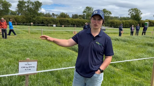 Watch: Understanding your grass covers and what to mow or graze