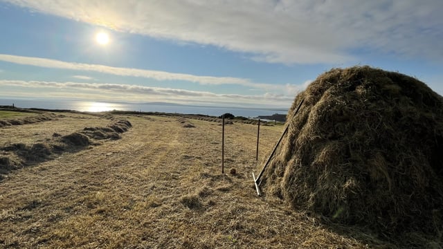 Watch: Enjoying 'Hay and Tae' in the Kerry sunshine