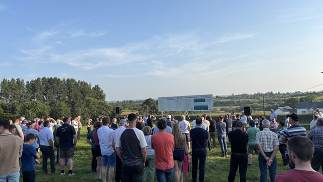 New factory bonus available to beef farmers in AgNav from September