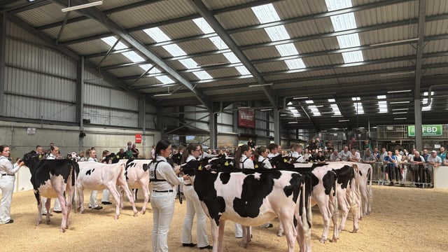 Watch: Highlights from FBD National YMA Finals