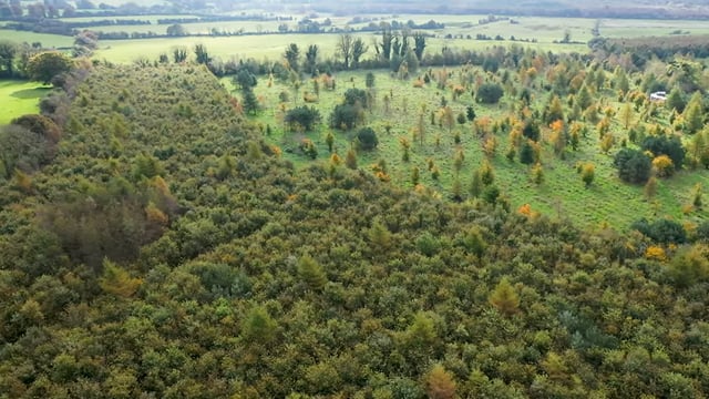 Agriland and DAFM to launch series on forestry for farmers