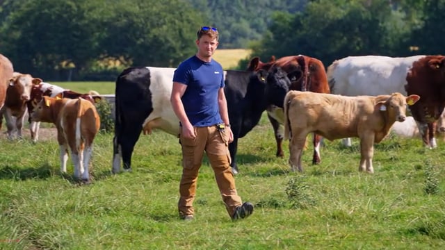 Watch: Insight from Laois beef farmer on Kepak Young Farmer Forum
