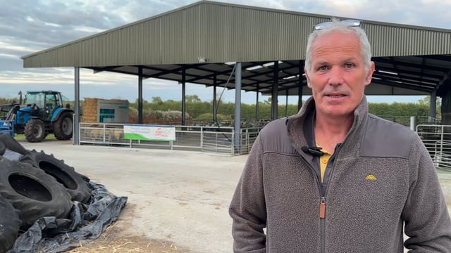 Watch: Meath 640-ewe sheep farm hosts ICM lamb production event